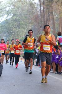 BIB: 
                            <button type="button" onclick="openModal(10411178)" class="btn btn-primary btn-sm float-right btn-popup" data-toggle="modal" data-target=".modal-high-quality">
                        <i class="fas fa-shopping-cart"></i> Add to Cart
                    </button>
                                            <button type="button" onclick="isThisMe(10411178, true)" class="btn btn-success btn-sm float-right btn-popup btn-isme hidden" data-toggle="tooltip" data-placement="bottom" title="นี่คือรูปของคุณใช่ไหม คลิกที่นี่เพื่อเอาเข้าอัลบั้ม">
                        <i class="fas fa-plus"></i> Add to album
                    </button>
                    <button type="button" onclick="isThisMe(10411178, false)" class="btn btn-warning btn-sm float-right btn-popup btn-isnotme hidden">
                        <i class="fas fa-ban"></i> Remove from album
                    </button>